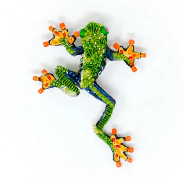 Red Eyed Tree Frog Brooch - TROVELORE